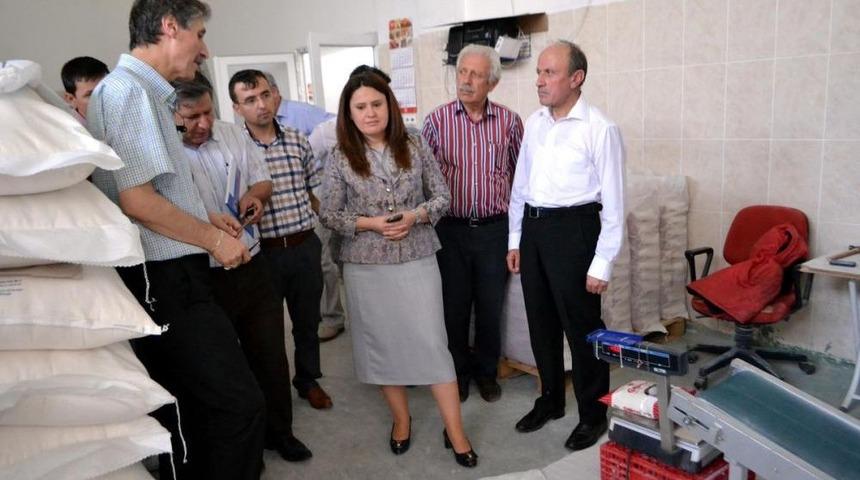 AK Parti Tokat Milletvekili Y&uuml;ksel, Niksar'da