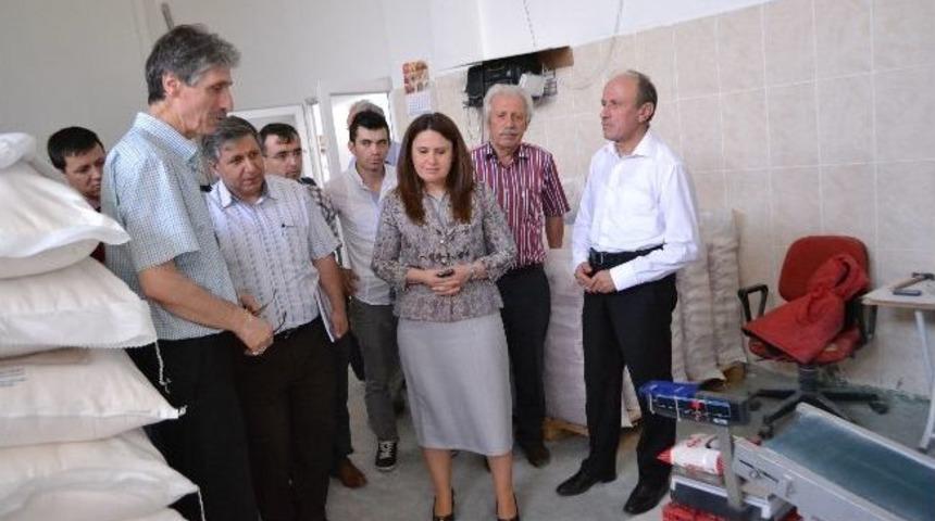 Ak Parti'li Y&uuml;ksel Niksar&rsquo;da