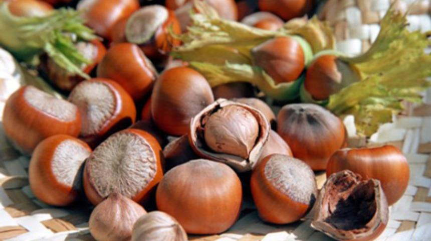 Fındığın sağlığa faydaları