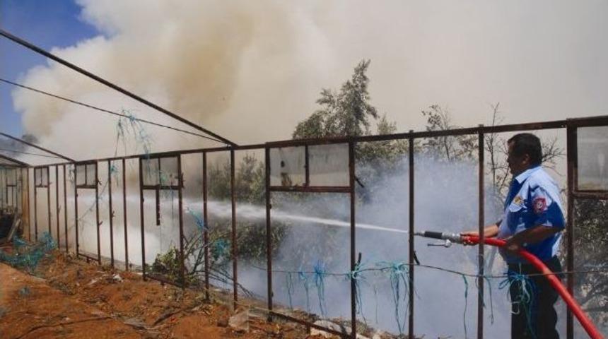 Ot Yangını Seraları Yaktı