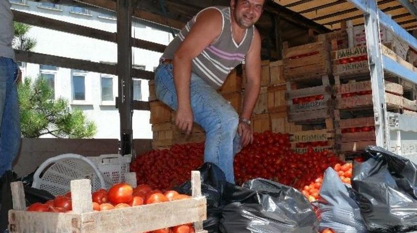 Domates 50 Kuruşa Satıldı