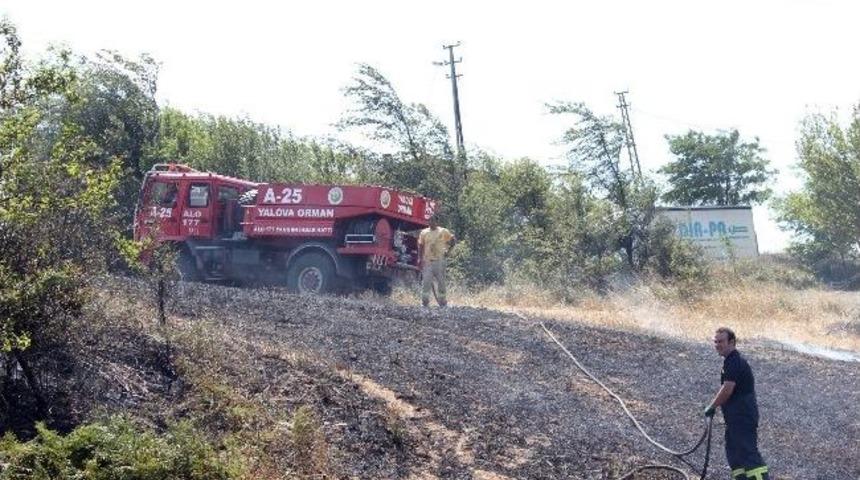 Yalova'da Korkutan Yangın