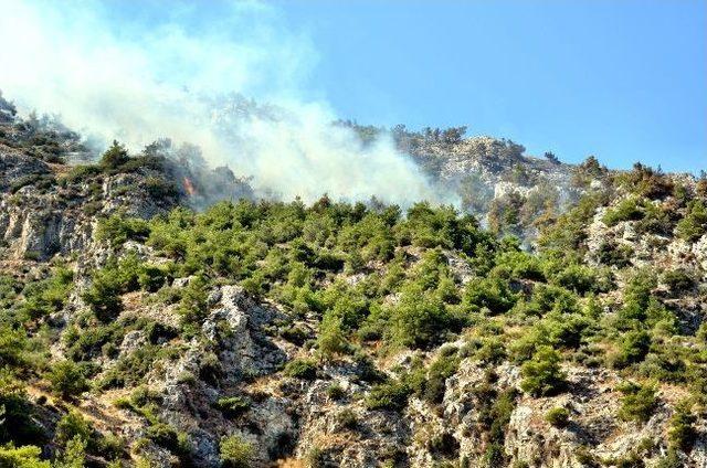 Söke’de Orman Yangını Kısmen Devam Ediyor