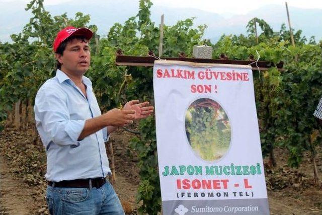 Salihli’de Salkım Güvesine Karşı Tarla Günü Düzenlendi