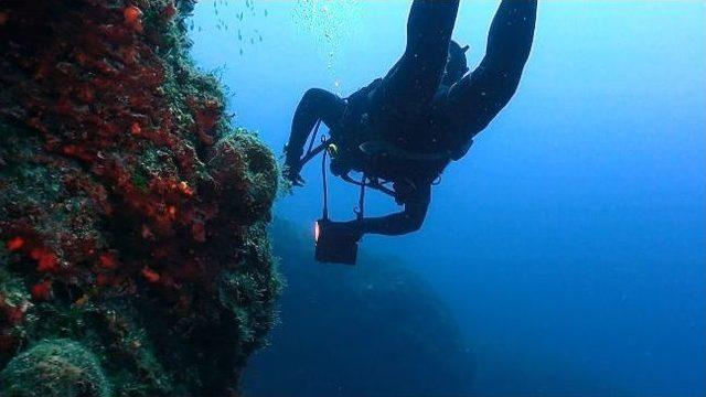 Çandarlı'nın Sualtı Güzellikleri Büyüledi