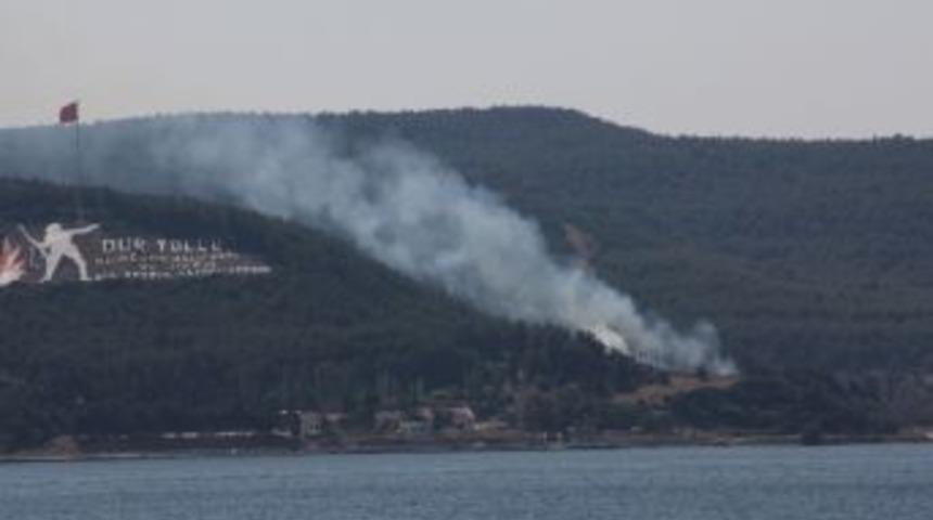 &Ccedil;anakkale&rsquo;de Orman Yangını