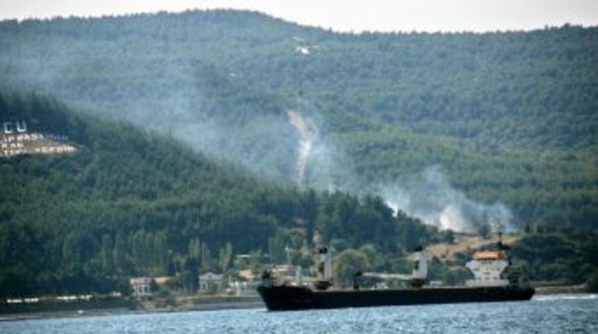 Gelibolu Yarımadası'ndaki Orman Yangını Kontrol Altına Alındı