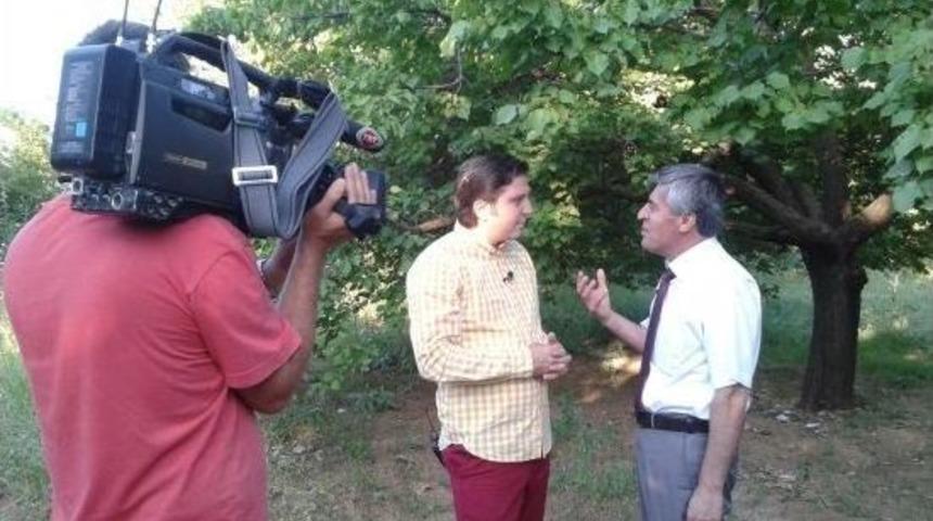 Kayısıda Y&uuml;ksek K&uuml;k&uuml;rt Sorunu