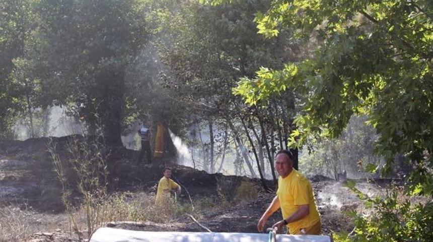 Edremit’te Iki Yerde Orman Yangını Çıktı