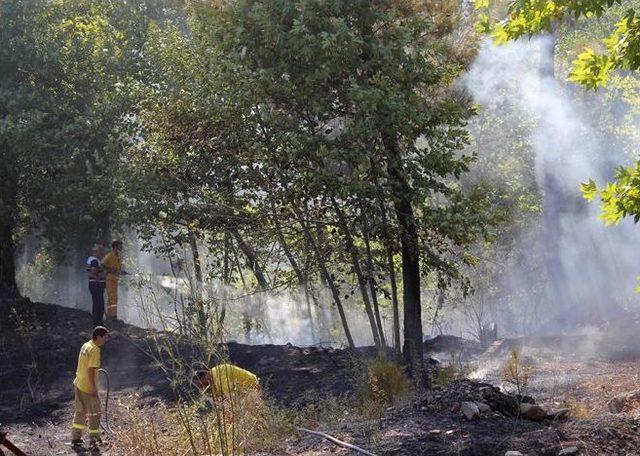 Edremit’te Iki Yerde Orman Yangını Çıktı