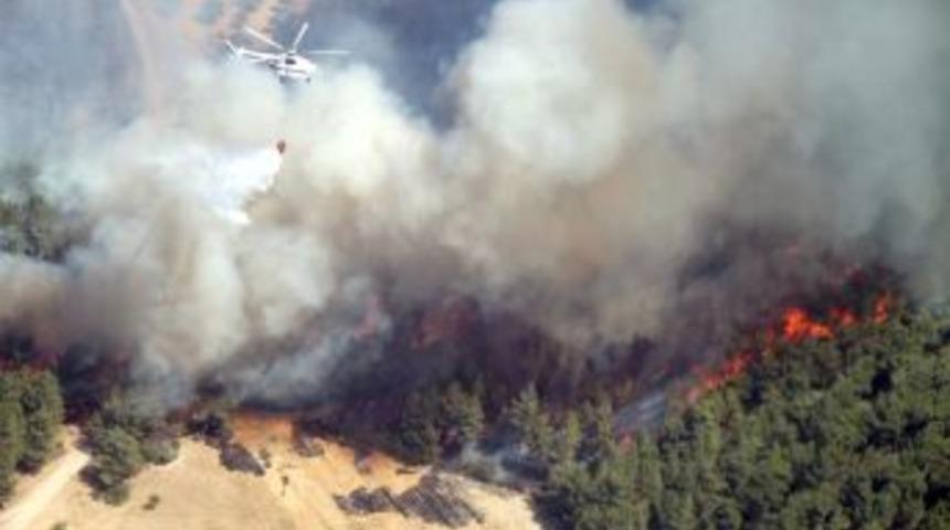 İzmir'de Sigara Yatağı, Yatak Da Ormanı Yaktı