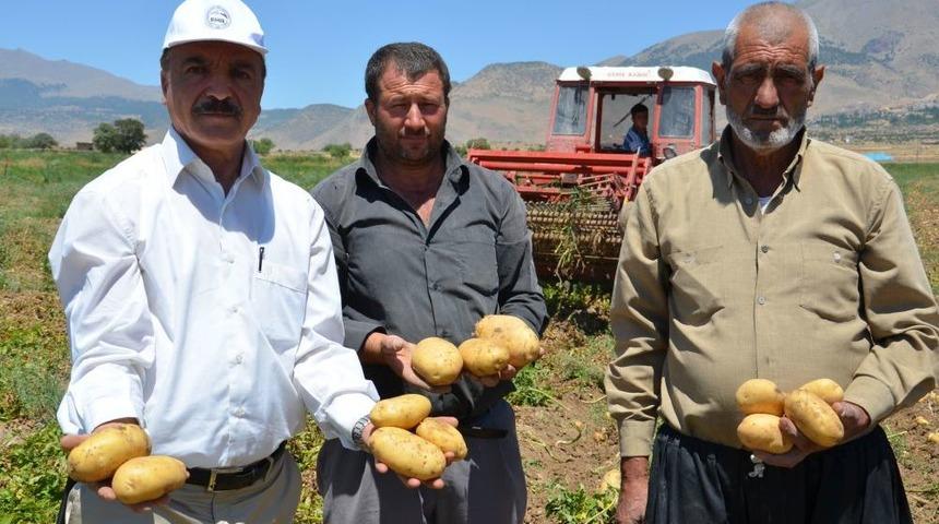 Patates Iş&ccedil;isi: Akaryakıttan &Ouml;TV Kalksın, Mazot Desteği De Verilmesin