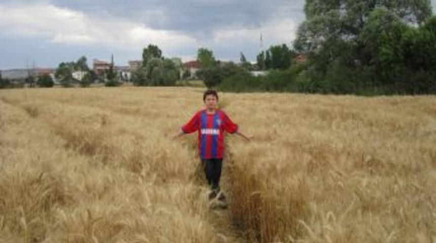 Eflani Il&ccedil;esinde Ge&ccedil;ici TMO Deposu A&ccedil;ılacak