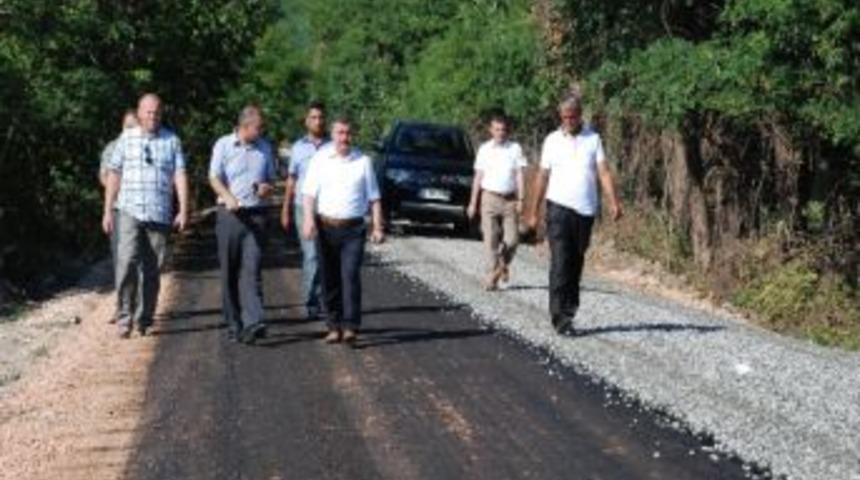 Fatsa Belediye Başkanı Anlayan: