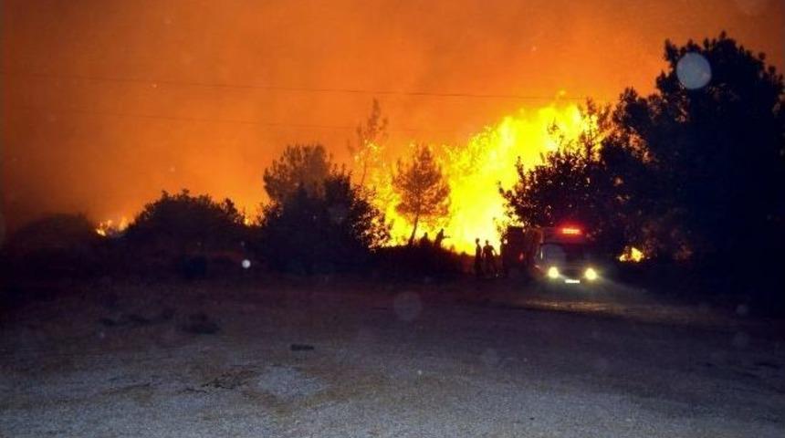 Dat&ccedil;a&rsquo;da Aynı Anda &Uuml;&ccedil; Ayrı Nokta Orman Yangını