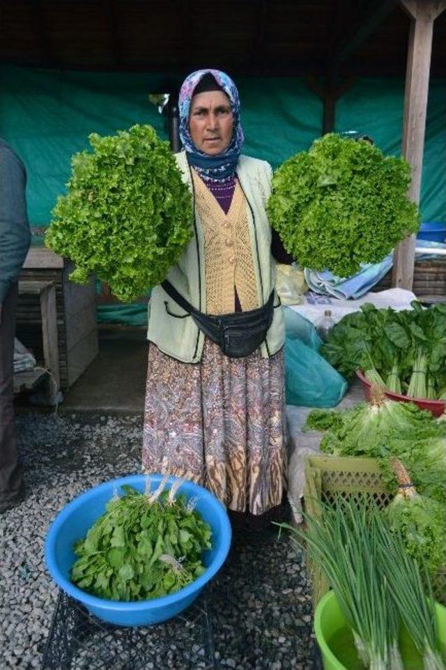 Yaylaya Kurulan Organik Pazara 50 Kilometre Uzaklıktan Geliyorlar