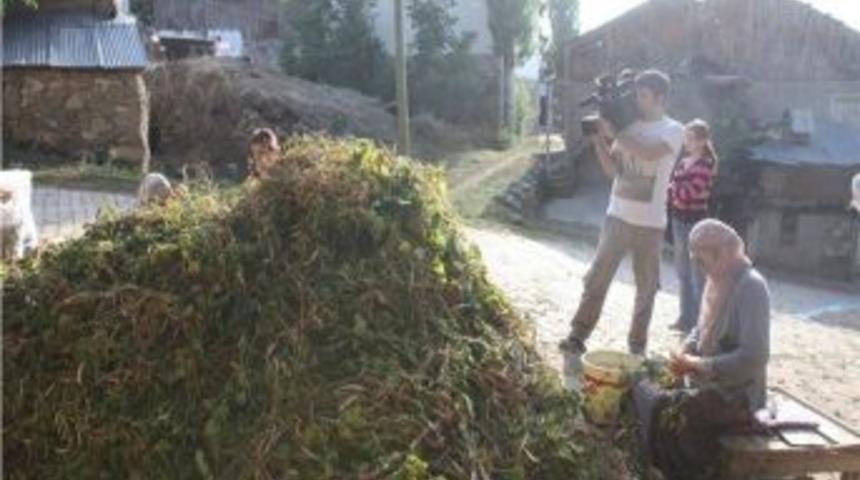 İspir&rsquo;de Agro-turizm Projesi