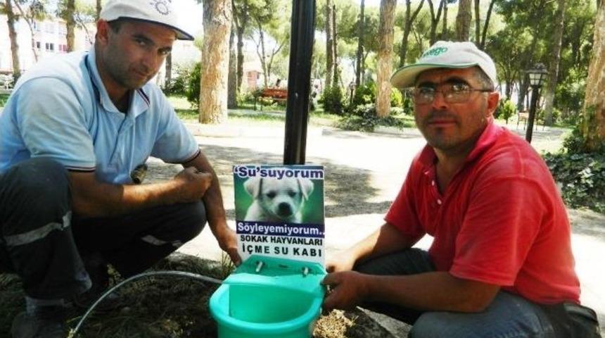 Sokak Hayvanlarının Susuzluğuna Karşı Otomatik Su Kapları
