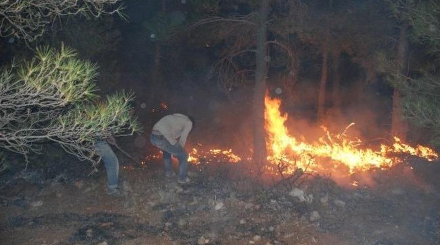 Hatay&rsquo;daki Orman Yangını Sabaha Karşı S&ouml;nd&uuml;r&uuml;ld&uuml;