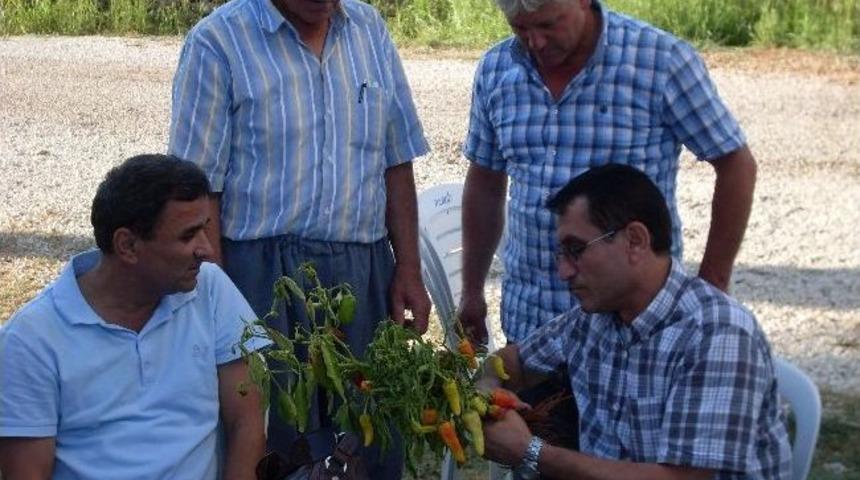 Targel Eğitimleri Devam Ediyor