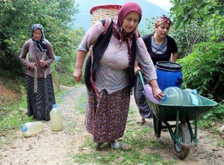 Köylü Kızı Türkçe Konulu