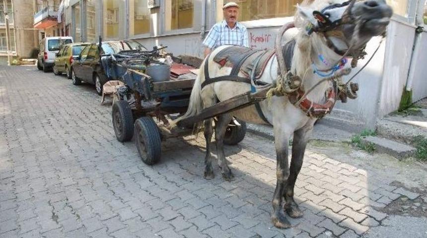 Zamana Meydan Okudu Ama Trafik Kazasına Yenik D&uuml;şt&uuml;