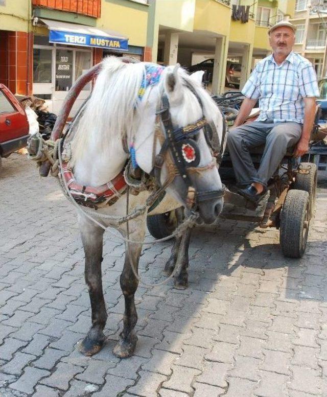 Zamana Meydan Okudu Ama Trafik Kazasına Yenik Düştü