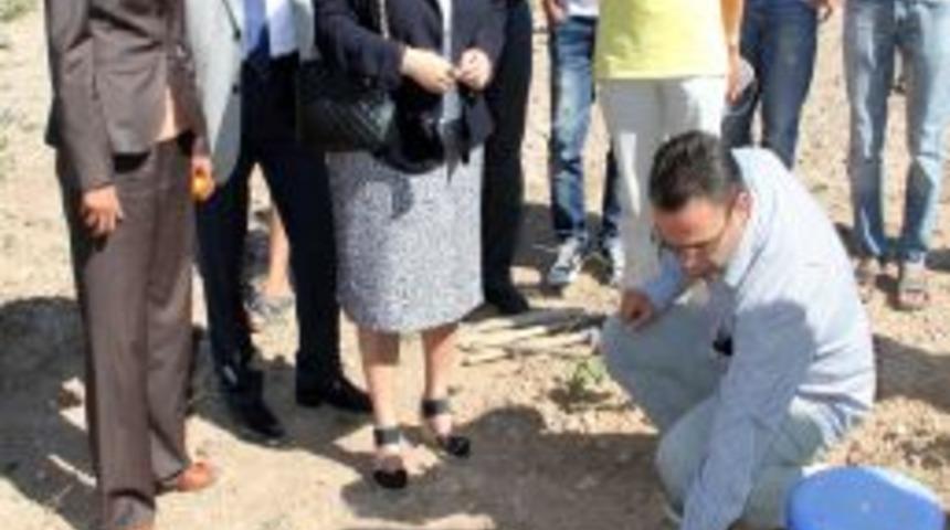 Milletvekili Memecan, Organik Tarım Alanını Gezdi