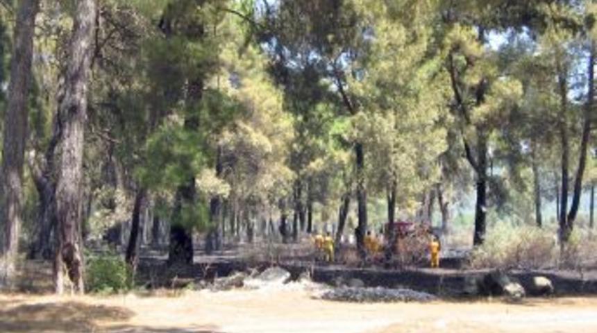 Muğla&rsquo;da Orman Yangını &Ccedil;ıktı