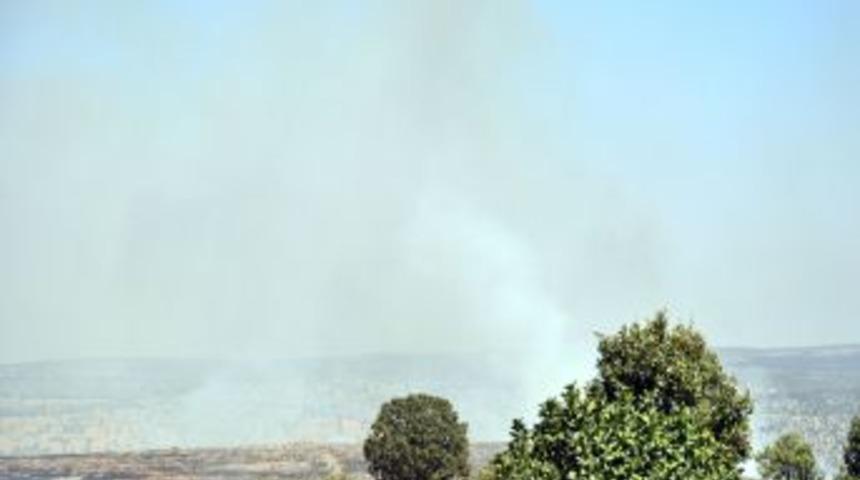 Midyat&rsquo;ta Orman Yangını