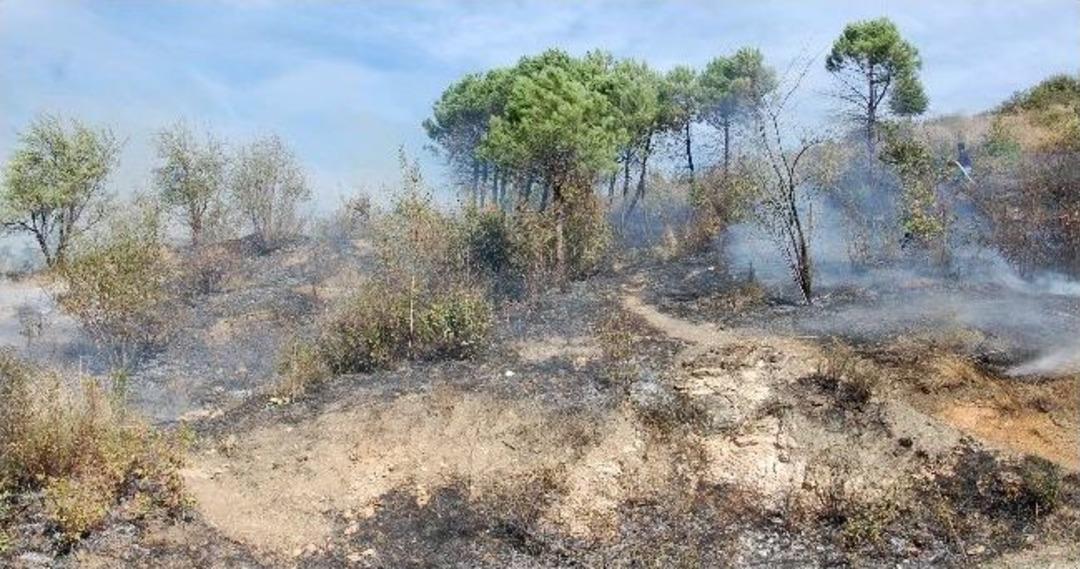 Simav&rsquo;da Korkutan Yangın