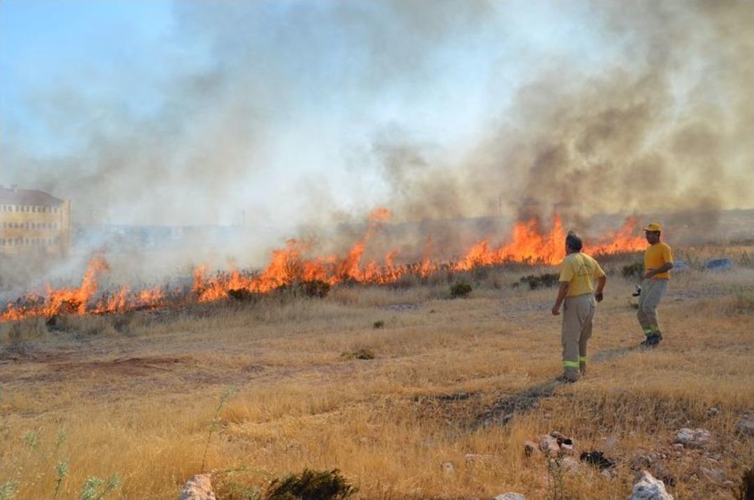 Arazide &Ccedil;ıkan Yangında Arı Kovanları Yandı