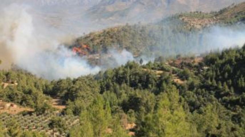 Kavakoluğu K&ouml;y&uuml;nde Yangın