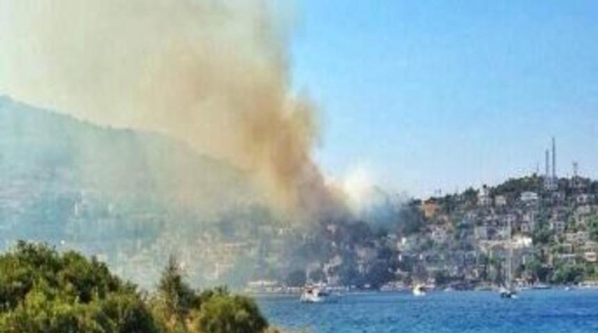 T&uuml;rkb&uuml;k&uuml;&rsquo;nde Orman Yagını