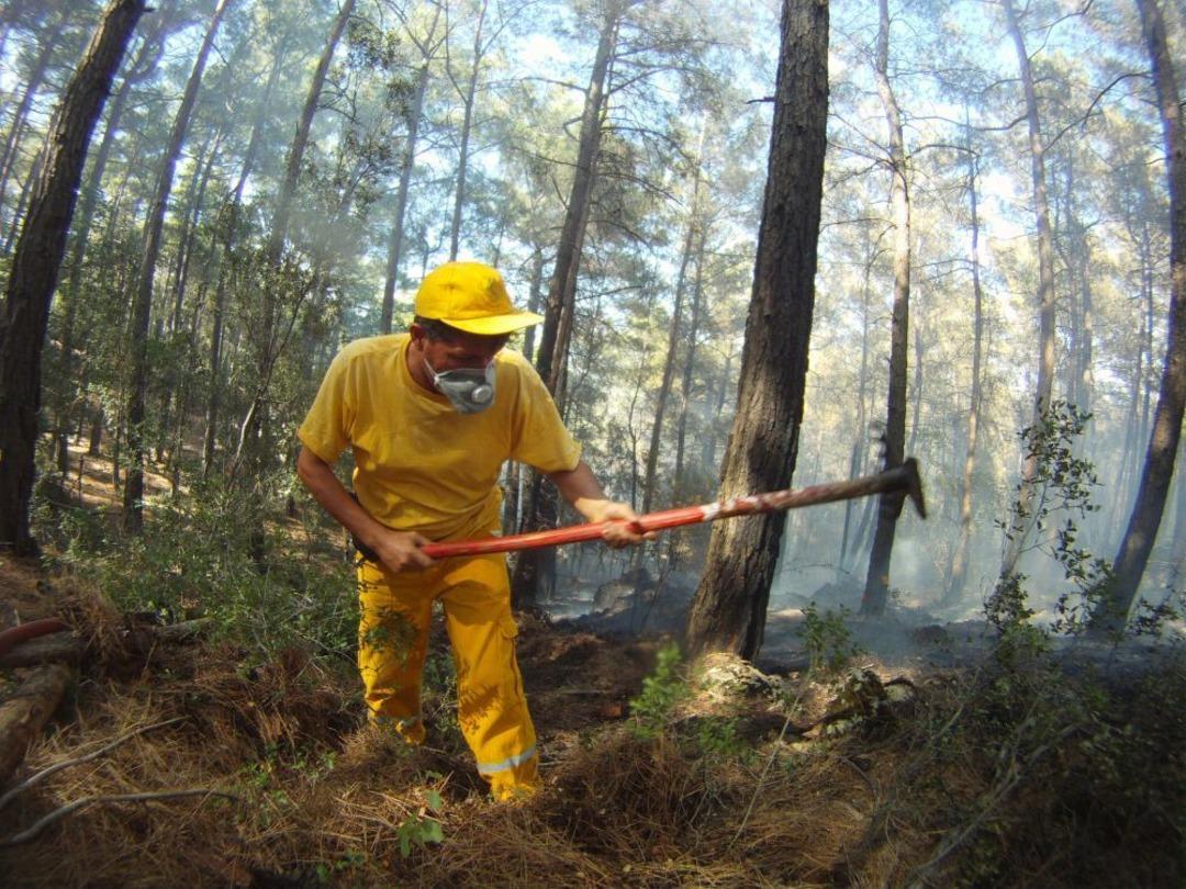 G&ouml;cek&rsquo;te &Ccedil;ıkan Orman Yangını Kısa S&uuml;rede S&ouml;nd&uuml;r&uuml;ld&uuml;