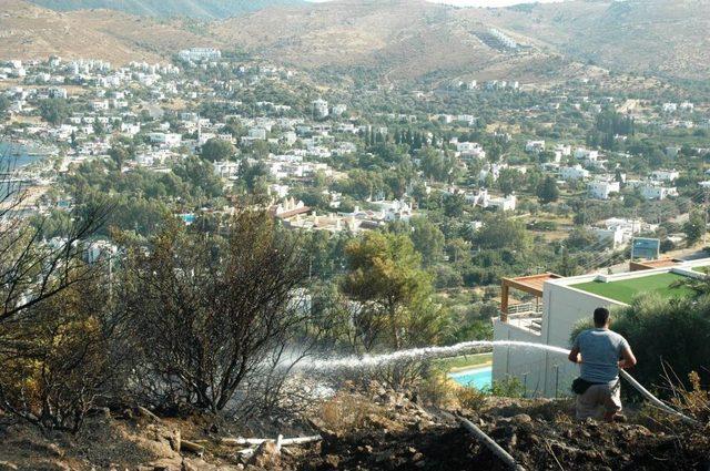 Bodrum'da Orman Yangını Kontrol Altına Alındı