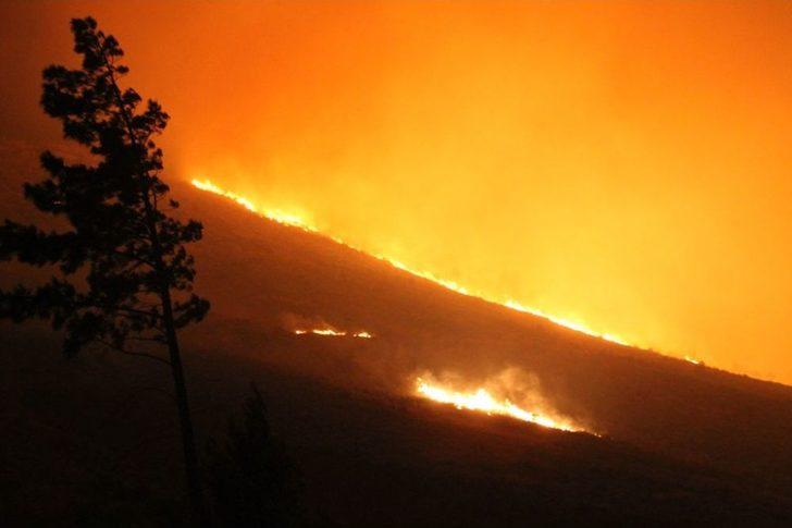 Gülnar'daki Orman Yangını Devam Ediyor G4