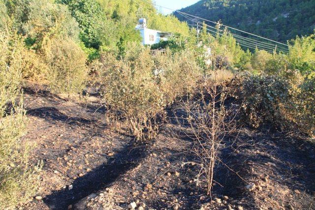 Mersin'deki Yangın Kontrol Altına Alındı