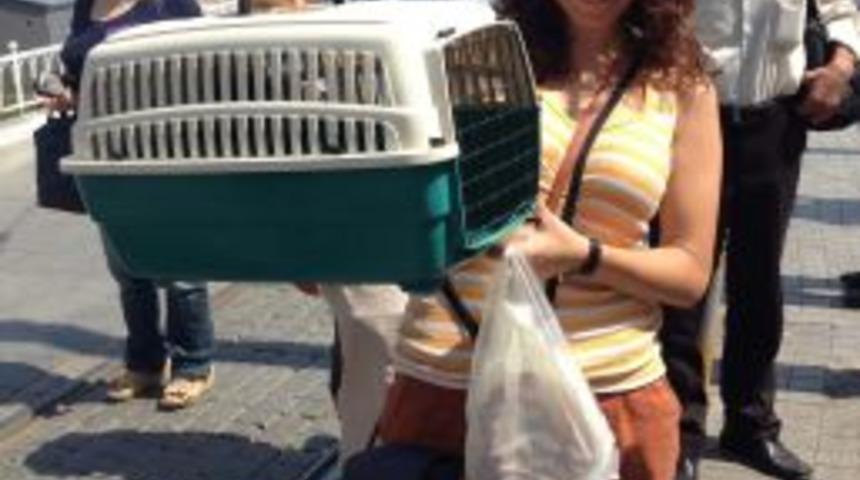 Taksim'de Kedi Kurtarma Operasyonu