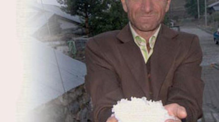 Ceviz b&uuml;y&uuml;kl&uuml;ğ&uuml;nde dolu yağdı