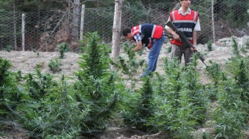 Adana'da Uyuşturucu Ve Kaçakçılıkla Mücadele