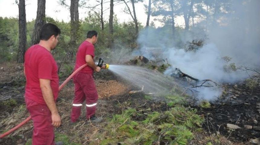 Orman Ekipleri Milas&rsquo;ta Yangından Yangına Koşuyor