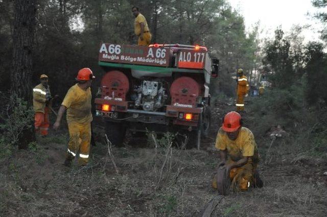 Orman Ekipleri Milas’ta Yangından Yangına Koşuyor