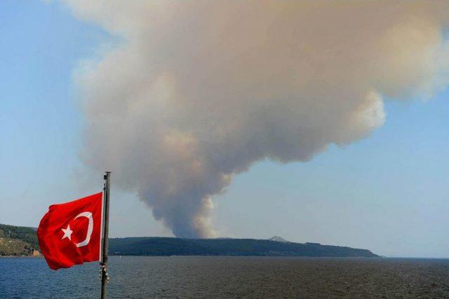 Çanakkale'deki Orman Yangını