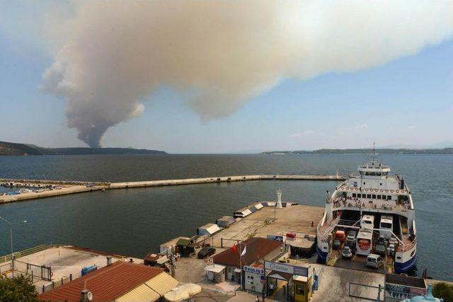 Çanakkale'deki Orman Yangını