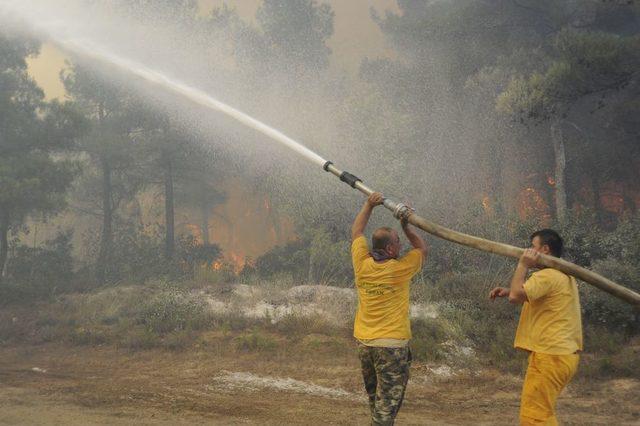 Gelibolu Yarımadası'ndaki Orman Yangını Devam Ediyor