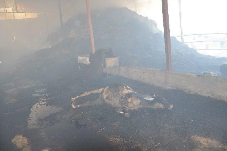 Orman Yangını Köyü Tehdit Ediyor G2