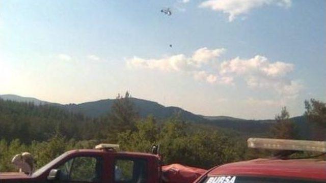 Bursa'da Orman Yangını