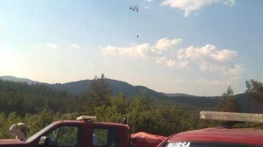 Bursa'da Orman Yangını