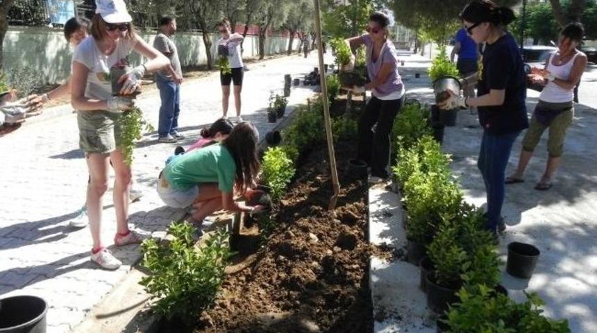 Kuvvetli Deresi&rsquo;nin Taflanlarını Yabancı &Ouml;ğrenciler Dikti